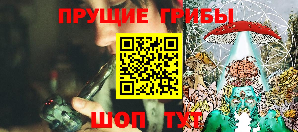 Псилоцибиновые грибы Psilocybine cubensis Кимры